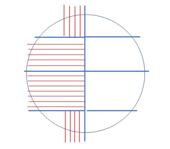 イラスト：コンピューター解析図